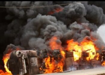 Landmine explosions kill seven in Borno