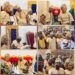 Olubadan Installs Chief Gbenro Olalekan As Mogaji Gbenro Oluwo Sakotun