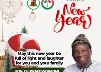 Oyo Federal Lawmakers And Their 2024 Performance Review By Fisayo Daramola