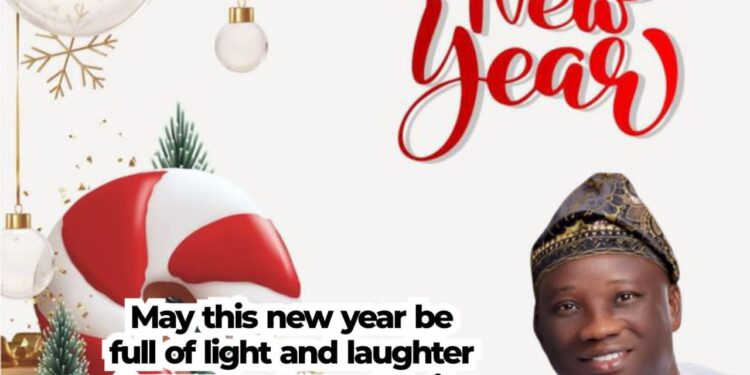 Oyo Federal Lawmakers And Their 2024 Performance Review By Fisayo Daramola