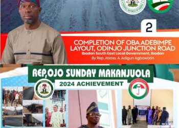 Agboworin, SMATO Best PDP Lawmakers In Oyo State — Journalists, Data Specialists*