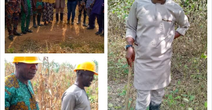 Food Security: Oluyole LG Partners OYSADA, Earmarks 140 Acres Of Land For Farming