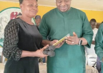 NULGE Honors Ido Council Chair With Friendly Award