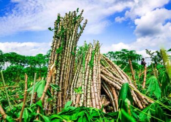 Oluyole LG To Create Farmers/Herders Database As Council Chairman Meets Stakeholders