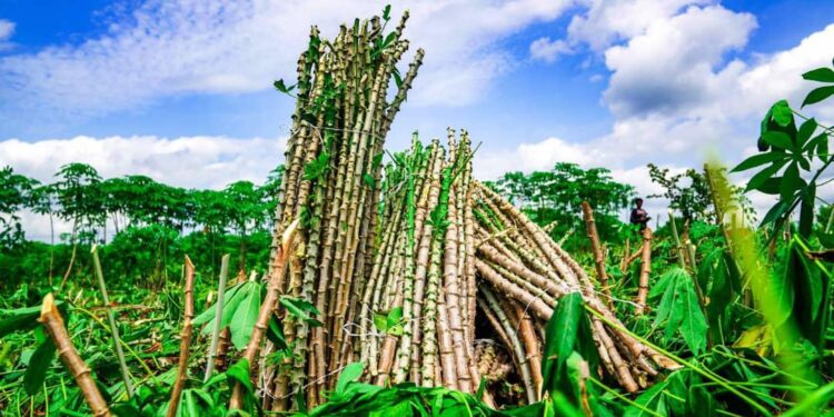 Oluyole LG To Create Farmers/Herders Database As Council Chairman Meets Stakeholders