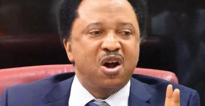 Just In: Shehu Sani, Hunkuyi, Others Return To APC In Kaduna