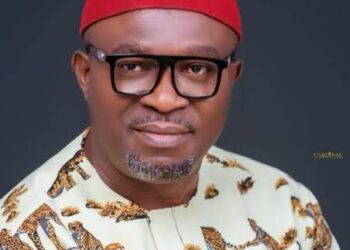 PDP NWC Affirms Udeh Okoye as Party National Secretary  …Says It’s Bound by Judgment of Court of Appeal