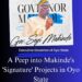 A Peep into Makinde’s ‘Signature’ Projects in Oyo State – GSM Advocates