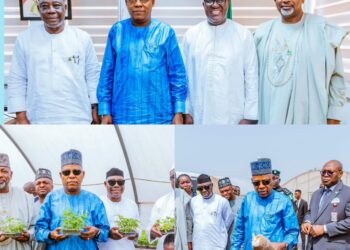 PHOTOS: VP Shettima tours IITA in Ibadan, says research institution key to FG’s agricultural revolution*