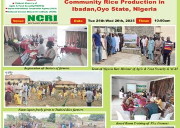 Nigerian government and Collaborative effort with Japan on Community Rice Seed Production . How Fed Ministry of Agriculture, NCRI and JICA Trained and Empowered Rice farmers.   By: Uwala Olufunmilayo