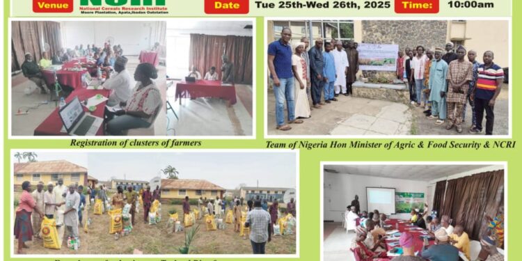 Nigerian government and Collaborative effort with Japan on Community Rice Seed Production . How Fed Ministry of Agriculture, NCRI and JICA Trained and Empowered Rice farmers.   By: Uwala Olufunmilayo