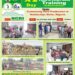 Nigerian government and Collaborative effort with Japan on Community Rice Seed Production . How Fed Ministry of Agriculture, NCRI and JICA Trained and Empowered Rice farmers.   By: Uwala Olufunmilayo