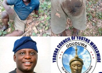 SAVE OUR OWN: YCYW Mobilizes Yoruba Leaders Over Kidnapped Afenifere Youth Leader, Prince Ojajuni*