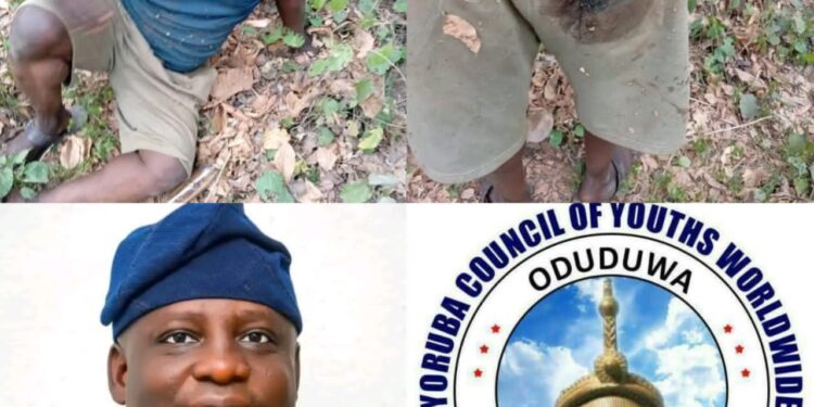 SAVE OUR OWN: YCYW Mobilizes Yoruba Leaders Over Kidnapped Afenifere Youth Leader, Prince Ojajuni*