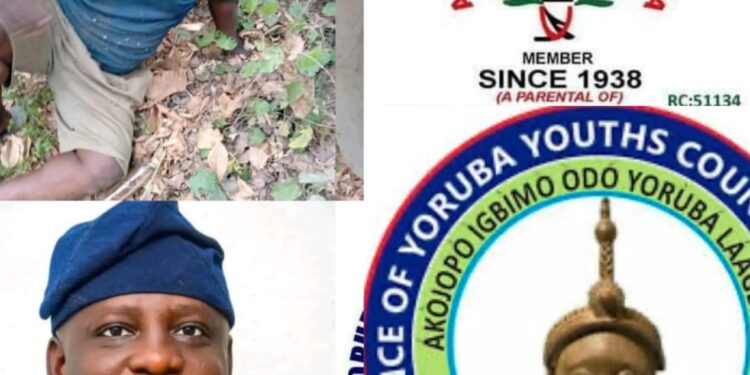 AYYCW Mobilizes Yoruba Leaders Over Kidnapped Afenifere Youth Leader, Prince Ojajuni