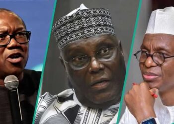 Atiku, Peter Obi, Osinbajo, Other Ex-Buhari Officials Among Political Figures Planning To Join SDP After El-Rufai’s Defection –Sources