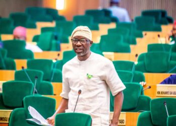 Agboworin Moves Motion On Delayed Cash Transfers To Vulnerable Nigerians, Urges FG To Fast-Track Payment