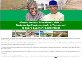 Sierra Leonean President’s Visit To Fashola Agribusiness Hub, A Testament To GSM’s Excellent Leadership – Rep Oyedeji Oshine