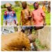 Olatunji Lays Foundation for Construction of Amotekun Office in Oluyole