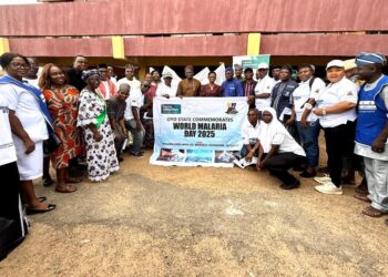 World Malaria Day: Oyo Govt Takes Action To End Malaria
