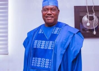 Voice of the Voiceless Nigerian Demands Akume’s Sack Over N80bn fraud allegations 