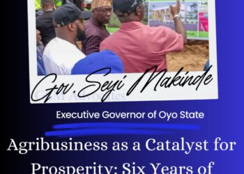 Agribusiness as a Catalyst for Prosperity: Six Years of Transformational Impact Under Governor Seyi Makinde – GSM Advocates