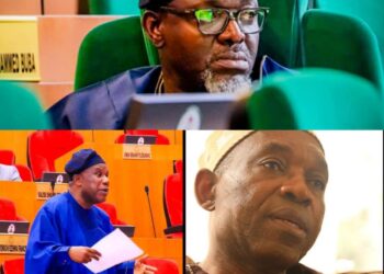 You’re Our Hero; Oyo Rep Oshine lauds Sen Buhari, Gbadegesin as Tinubu Approves federal university in Okeogun