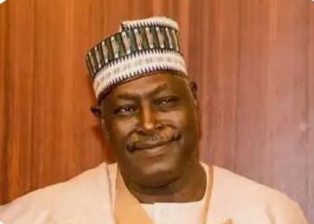 Anti-Tinubu Coalition: No time for new party before 2027 — Ex-SGF Babachir Lawal Babachair Lawal, Insecurity