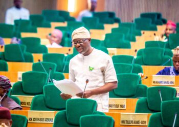 Agboworin’s Two Years Of Impactful Achievements, Trailblazing Representation In 10th National Assembly | Mayowa Okekale