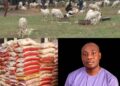 Ileya Celebration: Hon. Ogunsola Olusina Boosts Constituents’ Morale with Millions Worth of Rice and Rams