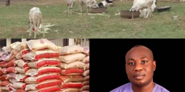 Ileya Celebration: Hon. Ogunsola Olusina Boosts Constituents’ Morale with Millions Worth of Rice and Rams