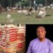 Ileya Celebration: Hon. Ogunsola Olusina Boosts Constituents’ Morale with Millions Worth of Rice and Rams