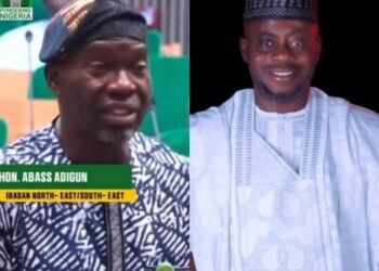  “I’m in Politics to Make an Impact” – Oloye Adegoke