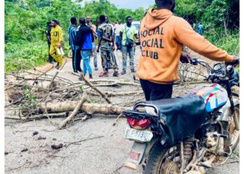 Four persons die in road mishap in Ibadan…  as Oyo LG boss read riot act to truck driver