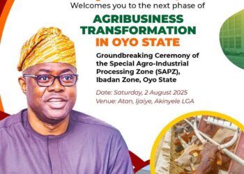 Makinde’s Administration Makes History with Special Agro-Industrial Processing Zone in Oyo State – GSM Advocates