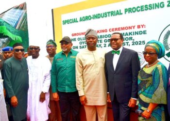 Shettima, AfDB President, Makinde Break Ground for Ijaiye Agribusiness Devt Hub   .As VP, others commend Oyo Govt’s agribusiness policy