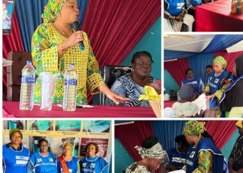 Lagelu Chairperson Flags Off Mass Distribution of Insecticide-Treated Nets in Iyana-Offa