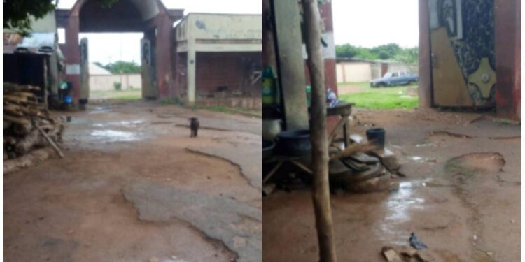 Apprehension in Ikoyi Kingdom and Ikoyiland Over Mysterious Death of Kingmakers