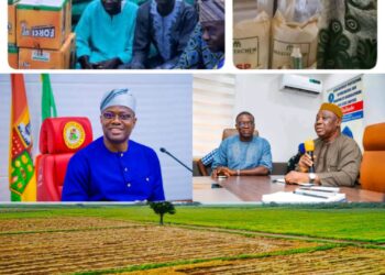 FOREIGN INVESTMENT: How OYSADA DG, Dr. Akande, Secured 90 Per Cent Of $7.81m Inflow Into Oyo Coffers In Q1 2025