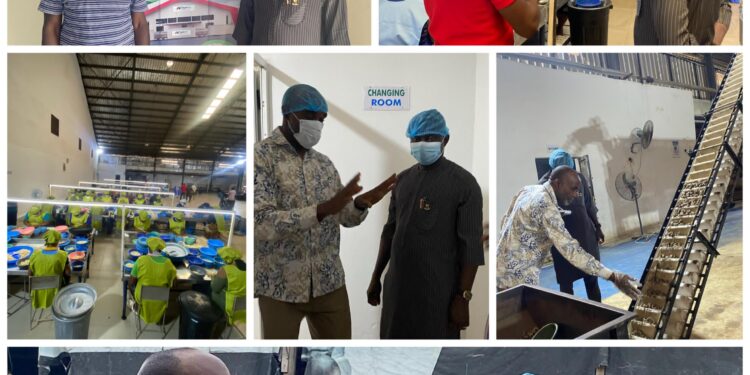 Lagelu Chairman, Hon. Kamorudeen Tours Sprawling Nutslink Limited, Hails Cashew Processing Venture as Economic Game-Changer