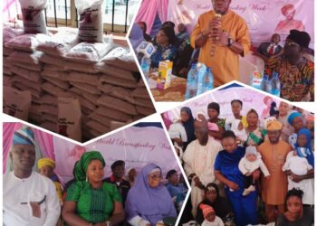 World Breastfeeding Week: Egbeda LG Celebrates World Breastfeeding Week 2025