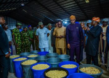 Agribusiness: Gov. Makinde, Debo Akande Visit Second Largest Cashew Processing Factory in Nigeria Situated in Lagelu LG