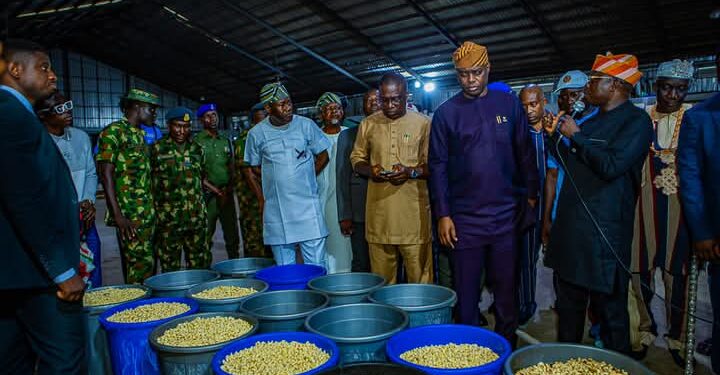 Agribusiness: Gov. Makinde, Debo Akande Visit Second Largest Cashew Processing Factory in Nigeria Situated in Lagelu LG