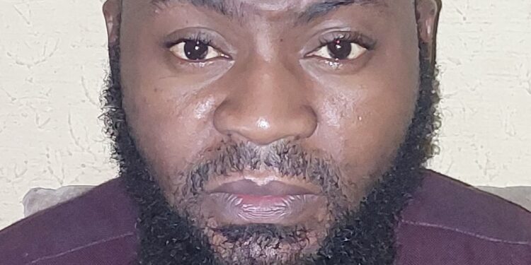 When “Ambassadorship” Risks Rewarding Misconduct   By Amb. Mallam Ibrahim Agunbiade