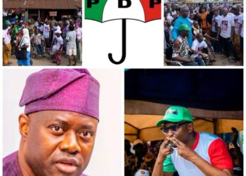 CSCHEI Commends By-elections Observers,  Urges INEC to Develop Working Strategy on  Communication and Voter’s Education