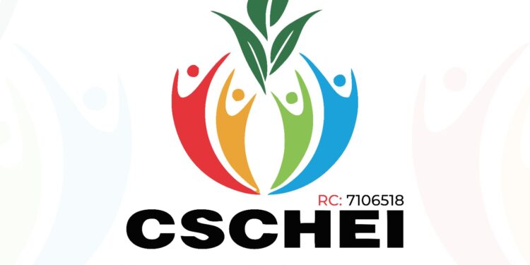 CSCHEI Commends By-elections Observers,  Urges INEC to Develop Working Strategy on  Communication and Voter’s Education