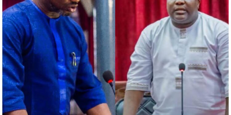 Hon. Adebayo Babajide Celebrates Colleague Hon. Owolabi Olusola on Birthday, Hails His Dedication to Legislative Duty