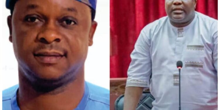 Hon. Adebayo Babajide Celebrates Colleague Hon. Owolabi Olusola on Birthday, Hails His Dedication to Legislative Duty