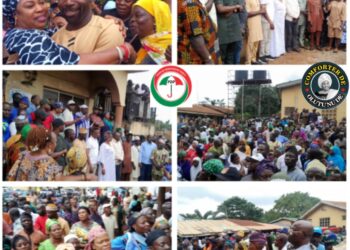 Oyo Acting Gov lauds PDP’s maturity, unity in peaceful LG congresses