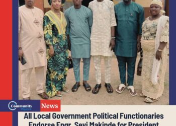 All Local Government Political Functionaries Endorse Engr. Seyi Makinde for President 2027